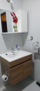 Monoambiente acogedor, cómodo e iluminado في لاباز: حمام مع حوض ومرآة