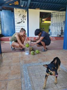 a couple of people and a dog and a dog at Ferdinand the bull hostel in Pedasí Town