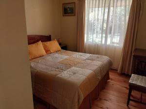 a bedroom with a bed and a large window at Paine - Hermosa Parcela de Agrado in Santiago