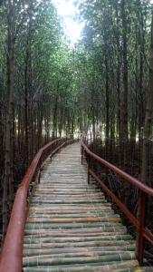 eine Holzbrücke in einem Bambuswald mit Bäumen in der Unterkunft Hava Resort Calatagan 