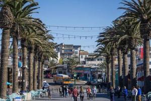 賀茂沙海灘的住宿－Live a block from the beach Hermosa Beach，一条城市街道上一群棕榈树