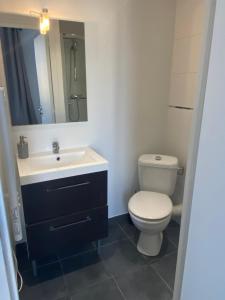 La salle de bains est pourvue de toilettes blanches et d'un lavabo. dans l'établissement 3 pièces dans hôtel particulier, à Champlan