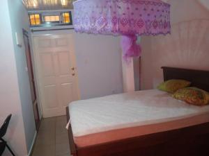 um quarto com uma cama de dossel rosa em Studios meublés em Iaundé