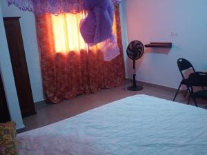 um quarto com uma cama, uma cortina e uma ventoinha em Studios meublés em Iaundé