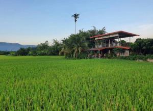 a house in the middle of a rice field at Hamenameng in Ban Na Meng (1)