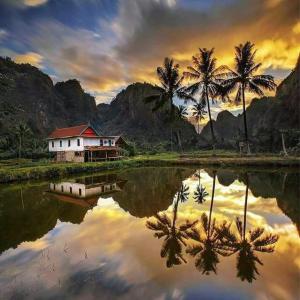 a house and palm trees are reflected in a body of water at Rammang-Rammang Cottage in Kasijala