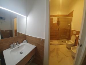 米蘭的住宿－Appartamenti Reali Bonaccini，一间带水槽、淋浴和卫生间的浴室