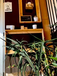 uma planta de vasos sentada ao lado de uma prateleira de madeira em Casa Incoronata em Campobasso