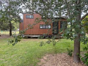 a house sitting in a field with a tree at Tiny Home + Donkeys + Alpacas in Tamborine
