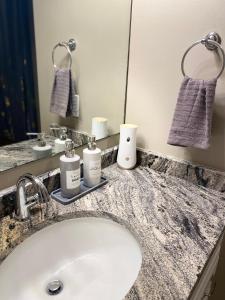 a bathroom counter with a sink and a mirror at Welcome to Cozy and Quiet Residence in Valdosta