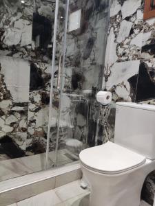 łazienka z toaletą i prysznicem w obiekcie Dolphins House w mieście Kinira