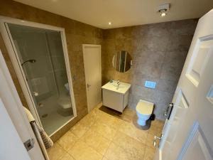 a bathroom with a toilet and a shower and a sink at Fernside Barn - Studio Apartment in Pickmere