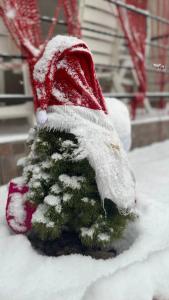 een kerstboom met een kerstmuts bedekt met sneeuw bij Ukrainochka in Slavske
