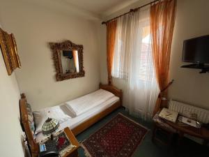 TV a/nebo společenská místnost v ubytování Hotel Razgorsek