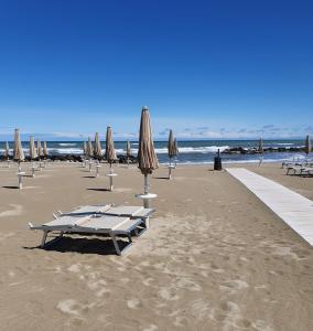 un mucchio di ombrelloni e sedie su una spiaggia di Hotel De La Plage a Rimini