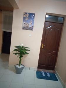 a pair of shoes next to a door with a plant at Embu Paradise 1 bedroom AirBNB in Embu