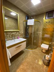 a bathroom with a shower and a sink and a toilet at Avşa Blue Sea Otel in Marmara