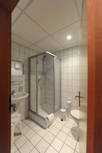 a bathroom with a shower and a toilet and a sink at Hotel Der Distelhof in Dillstädt