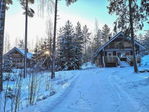 a house in the woods in the snow at Särkisalon Villa Albin in Särkisalo