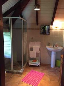 une salle de bain avec douche et lavabo dans l'établissement Beautiful Arpartment for 2, à Deshaies