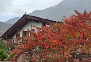 Nespecifikovaný výhled na hory nebo výhled na hory při pohledu z bed and breakfast