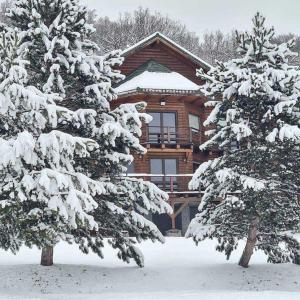 a log cabin with snow covered trees in front of it at Lucky Rönk vendégház in Vîlcele