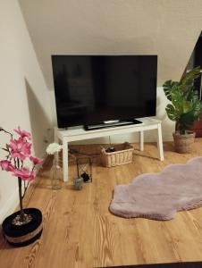a living room with a flat screen tv on a white table at Apartment Wittorf in Neumünster