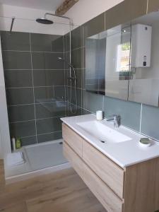 勒普拉代Superbe appartement au cœur du village的带水槽、镜子和浴缸的浴室