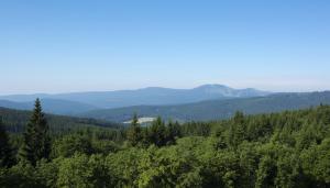 Foto dalla galleria di OREA Hotel Špičák Šumava a Železná Ruda