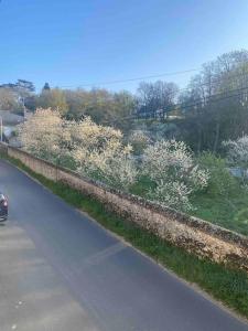 a road with white flowers on the side of the road at Gîte des Moriers Blois Bord de Loire in Blois