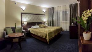 pokój hotelowy z łóżkiem i krzesłem w obiekcie Złote Arkady w mieście Częstochowa