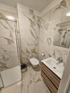 赫林貝亨的住宿－Casa Luca，一间带水槽、淋浴和卫生间的浴室