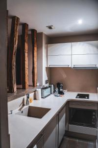 uma cozinha com um lavatório e uma bancada em VILLA FLEURY - APPART'HÔTEL DE STANDING em Limoges