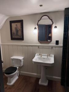 a bathroom with a sink and a toilet and a mirror at The Leicester Arms Country Inn in Penshurst