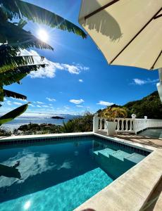 una piscina con vistas al océano en Palm house, en Friendship