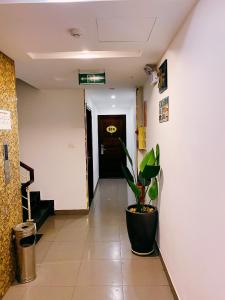 um corredor com um vaso de plantas num edifício em Khách Sạn 239 em Hanói