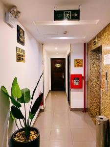 a hallway with a potted plant in a building at Khách Sạn 239 in Hanoi