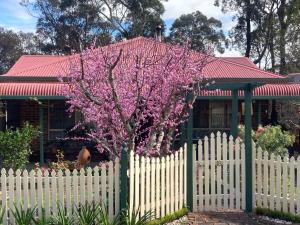 una cerca blanca frente a una casa con un árbol florido en Blue Gum Cottage on Bay en Bensville