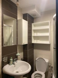 a bathroom with a white toilet and a sink at Apartman Bianca in Palisad