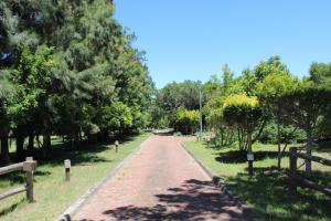 un camino de tierra en un parque con árboles en Wild Paradise Cottages, en Lorraine