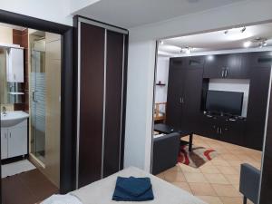 a room with a bed and a bathroom with a television at Belváros közeli kertkapcsolatos lakás 1-től 5 főig in Debrecen