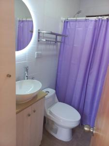 a bathroom with a toilet and a purple shower curtain at Cabaña en La Laguna in Valparaíso