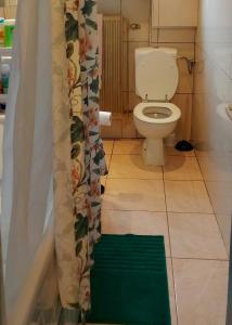 a bathroom with a toilet and a green shower curtain at Belle chambre dans un quartier calme in Brussels