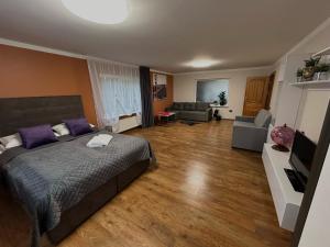 1 dormitorio con 1 cama y sala de estar en Namo-pirties nuoma Vinkšnėnuose en Vijoliai