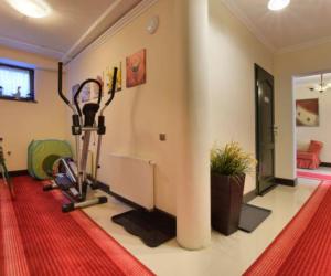 a room with a gym with a treadmill at Apartament CALMA & SPA in Kudowa-Zdrój
