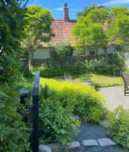 a garden with a bench and some bushes and a house at Botanikerns hus in Löderup