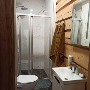 een badkamer met een douche, een toilet en een wastafel bij S Neries 19 apartamentai su parkingu in Šiauliai