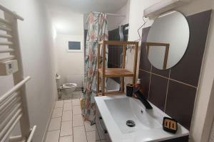 een badkamer met een wastafel en een spiegel bij Appartement cosy jardin en ville in Angoulême
