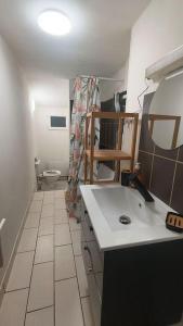 uma casa de banho com um lavatório e um WC. em Appartement cosy jardin en ville em Angoulême