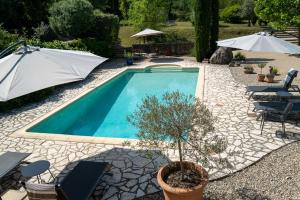 Saint-André-de-Cruzières的住宿－Gîte Le Bel Endroit，院子里的游泳池,带遮阳伞和盆栽树